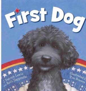 First dog