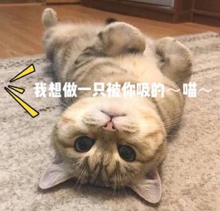 <哄睡>要不要做我的“猫”-初夜-M爱说