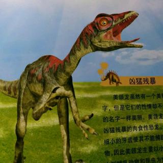 恐龙星球侏罗纪【美颌龙】-17