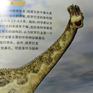 恐龙星球侏罗纪【欧罗巴龙】-18