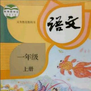 一年级上册汉语拼音13