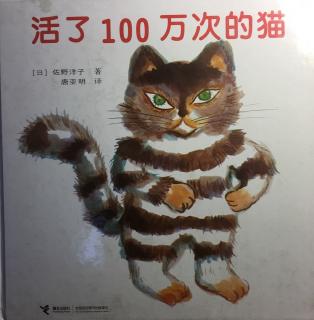 活了100万次的猫