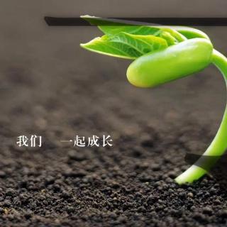 春天是生长故事的季节（汪国真）