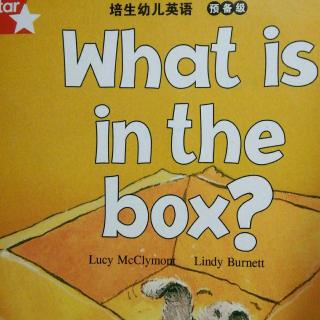 What is in the box?