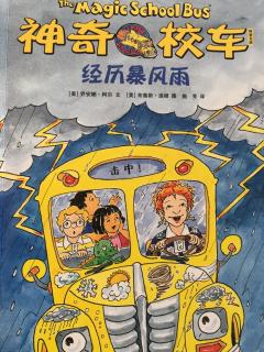 神奇校车17《经历暴风雨》