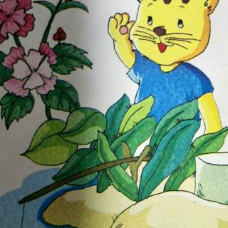 翰林国学经典故事———《小猫钓鱼》