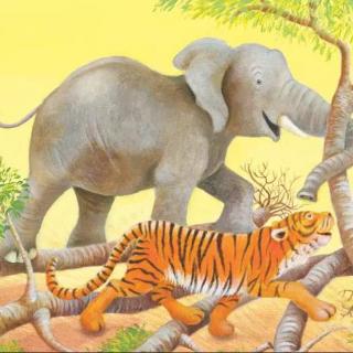 100个儿童英文故事集#82“Elephant and tiger”