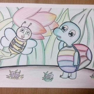 沙琳晴故事分享《蜜蜂与乌龟》