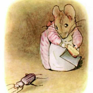 鼠先生和鼠太太