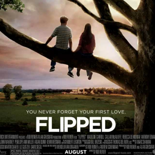 多一点多一些:film《filpped》