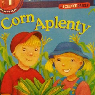 Corn Aplenty song