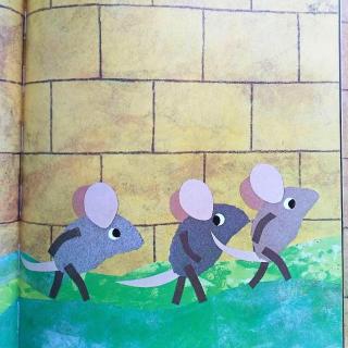 叮咚|李欧·李奥尼作品：12《蒂利和高墙》