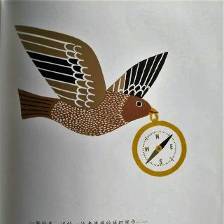 叮咚|李欧·李奥尼作品：15《蒂科与金翅膀》