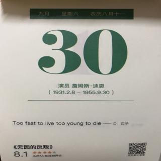 61.智囊