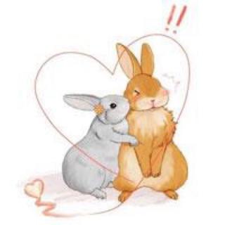 《大兔子和小兔子绘本》