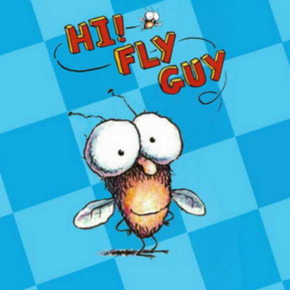 hi!fly guy