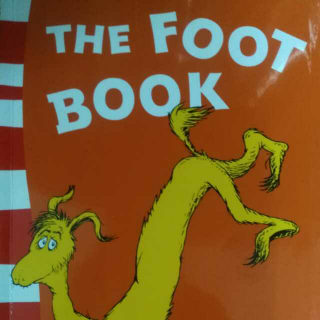 8 The Foot Book