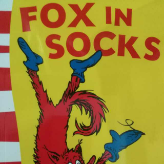 9 Fox in Socks