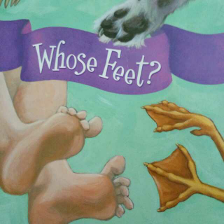 Whose Feet 