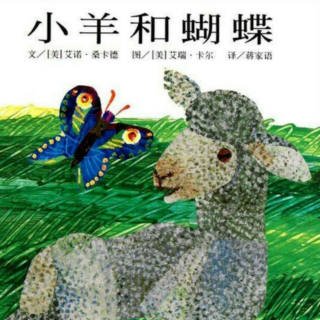 绘本故事《小羊和蝴蝶》