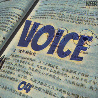 VOICE I 04