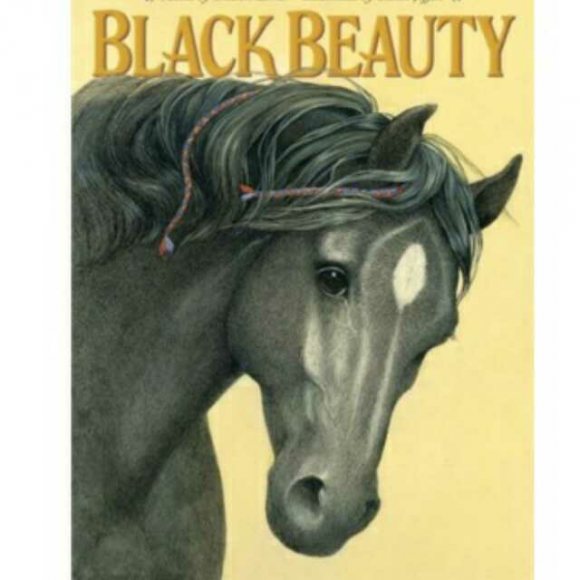 《章1black beauty黑駿馬 》景馨jessie