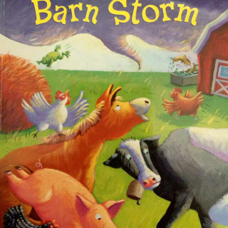 BARN STORM