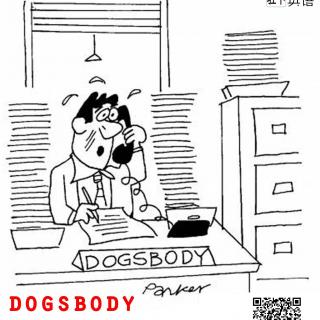 【高级日常词汇】dogsbody