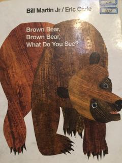 萱萱Brown Bear