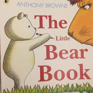 The little bear book