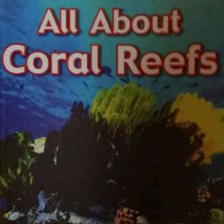 All about Coral Reefs