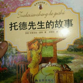 托德先生的故事