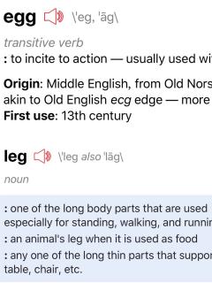 单词发音—egg、leg