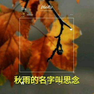 《秋雨的名字叫思念》/作者: 花瓣雨