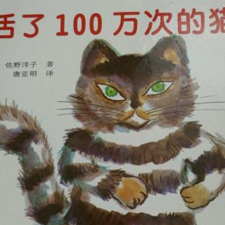 活了100万次的猫