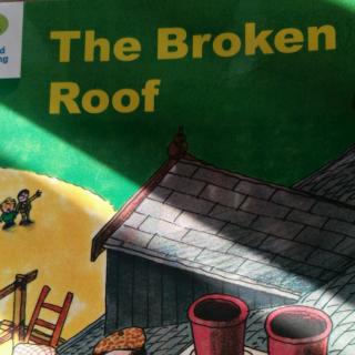 【牛津阅读树】7-3~The Broken Roof