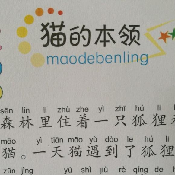猫的本领