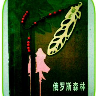 《俄罗斯森林》第四章（6）