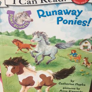 Runaway ponies