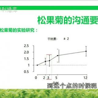 松果菊临时提升免疫力(李峰)