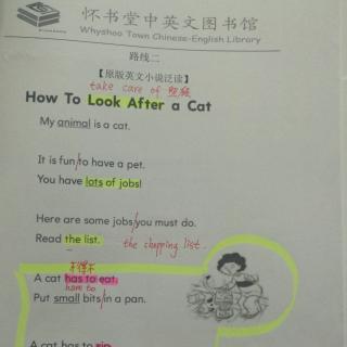 怀书英语 路线二 How to look after  a cat