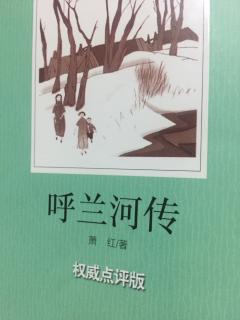 呼兰河传 第五章（六）