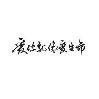 【读书】爱你就像爱生命（一）