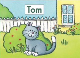 Tom