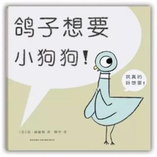 2017.10.6 鸽子想要小狗狗 宝贝录