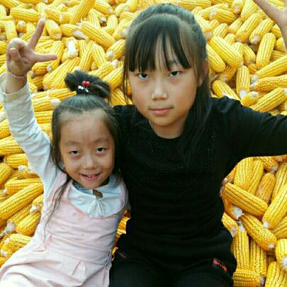 五年级2班姚佳琪