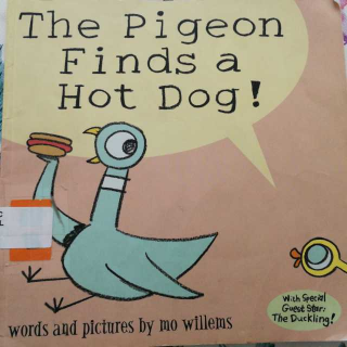 木兰讲英文故事The Pigeon Finds a Hotdog