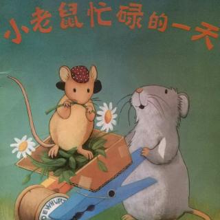 绘本故事《小老鼠忙碌的一天》