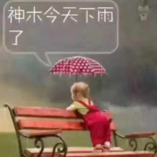 秋雨无声