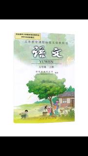 9.《鲸》五年级上册－贝